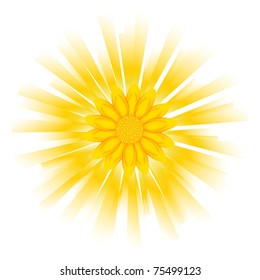 Sun flower vector background