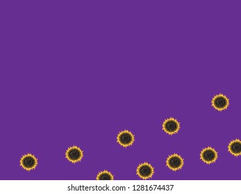 sun flower vector for banner, presentation and wallpaper purposes on colorful background 4