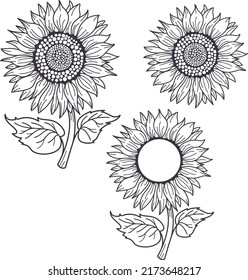 Sun Flower Vector, Sun Flower Black And White