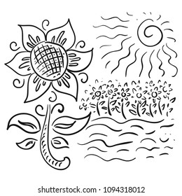 Sun flower. Vector illustration