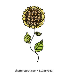 Sun flower vector illustration