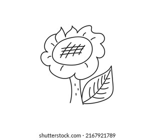 sun flower vector illustration background