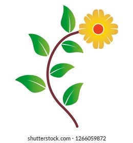 Sun flower vector illustration, Chrysanthemum flower icon.
