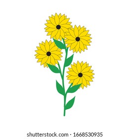 Sun Flowers illustration. Flowers Pattern Design isolated on white background