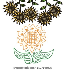 Sun flowers. Vector illustration