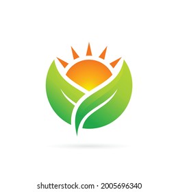 sun garden vector logo design