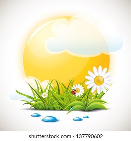 Sun and grass