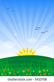 Sun, grass and blue sky (vector)