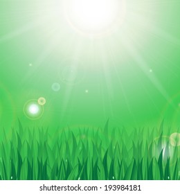 Sun and green grass with dew drops on a green background