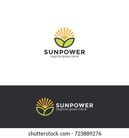 Sun and green leaves logo template