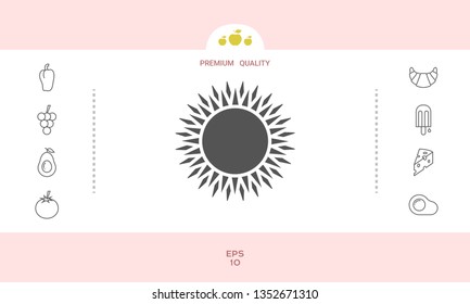 Sun icon symbol. Graphic elements for your design