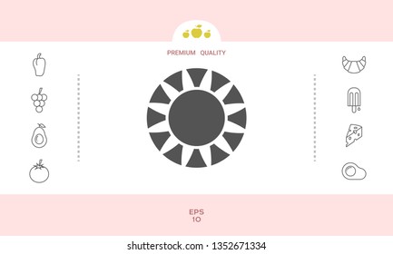 Sun icon symbol. Graphic elements for your design