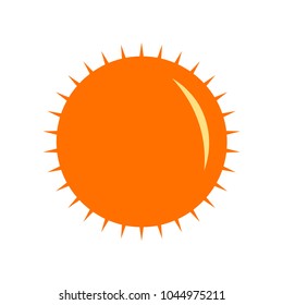 sun icon vector