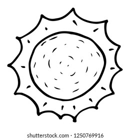Sun icon. Vector illustration of cartoon sun. Hand drawn sun.
