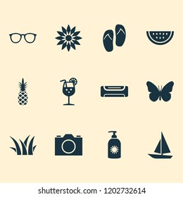 Sun icons set with grass, boat, butterfly and other lemonade elements. Isolated vector illustration sun icons.