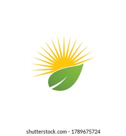 plantilla de icono del logotipo de ilustración del sol