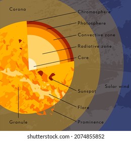 Sun internal structure. Solar model, star diagram. Core, radiative, convective zone, atmosphere, corona. Magnetic activity: sunspot, flare, prominence. Astronomy. Vector flat cartoon illustration