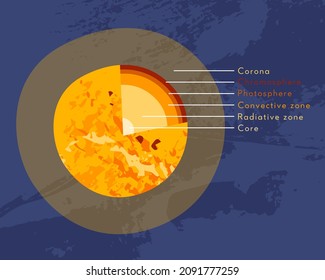 Sun internal structure. Solar model, star diagram. Core, radiative, convective zone, atmosphere, corona. Astronomy, astrophysics. Vector flat cartoon illustration