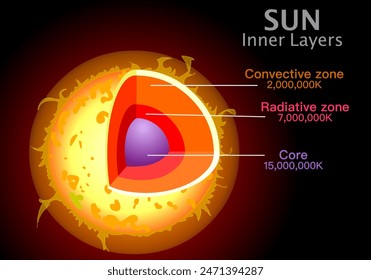 Sun layers structure. Core, radiative, convective zone. Solar anatomy, temperature. Inner layers core 15 million centigrade degree heat. Dark red space. Illustration vector