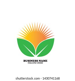 Sun leaf abstract logo vector 
