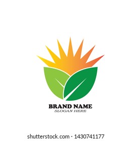 Sun leaf abstract logo vector
