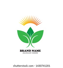 Sun leaf abstract logo vector