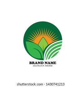 Sun leaf abstract logo vector 
