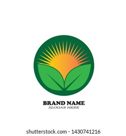 Sun leaf abstract logo vector
