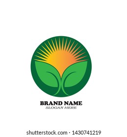 Sun leaf abstract logo vector
