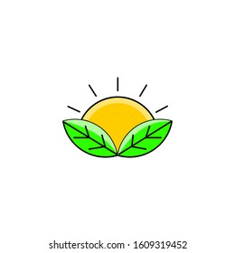 Sun leaf design logo vector or icon