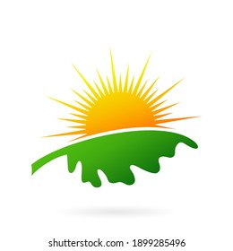 sun leaf logo design concept