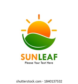 Sun Leaf Logo Template Illustration