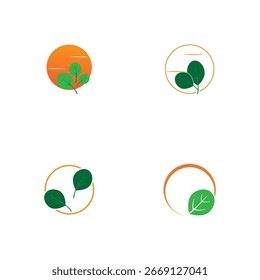 sun leaf logo vector desighn
