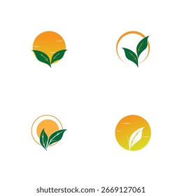 design de vetor do logotipo da folha do sol