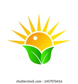 Sun and leaf nature logo design on white background cartoon vector illustration