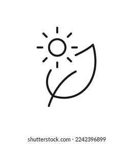 Sol y hoja. Estilo de línea de icono de fotosíntesis aislado en fondo blanco. Ilustración del vector