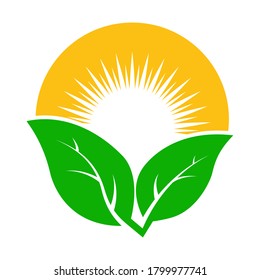 sun and a leaf. Template for a logo, sticker, or emblem isolated on a white background