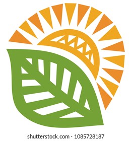 Sun and leaf. Vector illustration