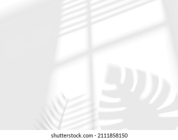 Sun light via the window. Shadow effect with blindes and plants in perspective. Shadow overlay isolated on white background