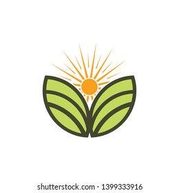 sun logo design. summer sign or symbol. sun icon vector. illustration element.