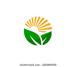 Icono orgánico de la puesta de sol del logotipo de Sun 