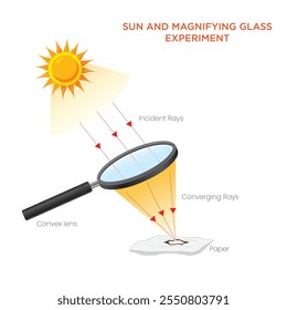 The sun and magnifying glass experiment focuses sunlight to a point, demonstrating how lenses concentrate energy to ignite or heat objects.