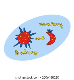 El sol y la luna son divertidos y estilizados como la fresa con arándano y la morera de luna para tarjeta, impresión, diseño textil, afiche, portada ilustración vectorial