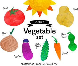 
Sun and natural vegetables  vector illustration set