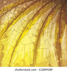Sun on the brown stone texture. Abstract  vector pattern