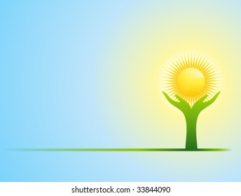 Sun on the palm.