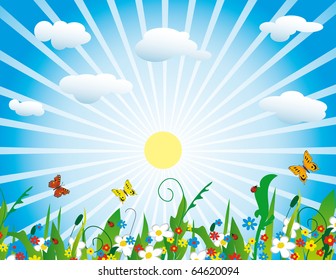 The sun over a flourishing meadow. Vector illustration