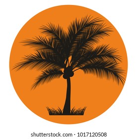 Sun with  palm tree