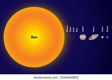 Sun and Planet Size Proportions or Comparison Flat Illustration of the Solar System. The Size of the Sun Compared to the Planets Realistic Colorful Illustration with Planet Names