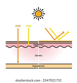 Proteção solar na camada de pele vetor de design plano no fundo branco. Radiações UVA e UVB penetram na pele. Protetores solares físicos e minerais refletem os raios UV. Ilustração do conceito de cuidados com a pele.